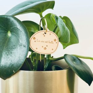 pic botanique la vie est belle