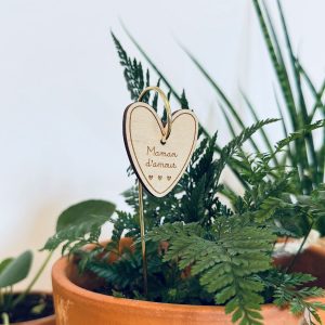 pic botanique maman d'amour